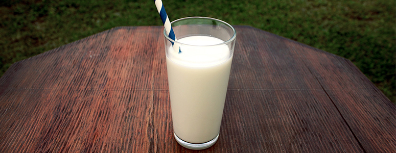 Best Milk Brands of America